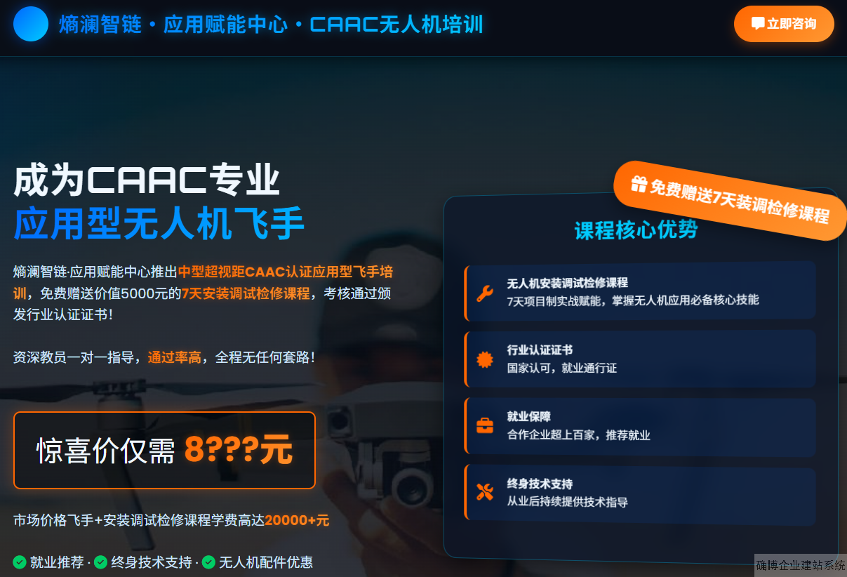 飞手培训网站模板截图