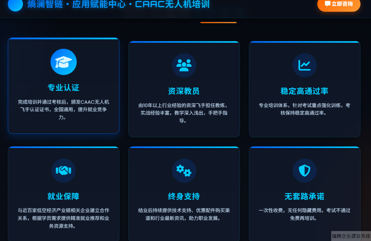 飞手培训网站模板截图
